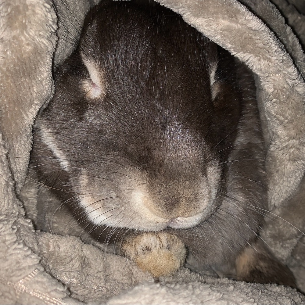 Meet your Posher, Jenn